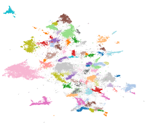 Two-dimensional UMAP visualization of call note embeddings, with colors representing 89 distinct topic clusters identified by HDBSCAN.
